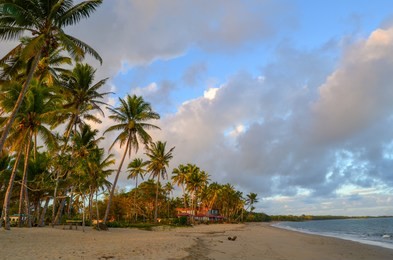 coral coast in viti levu island, fiji