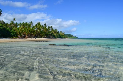 coral coast in viti levu island, fiji