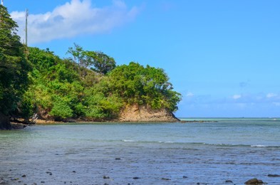 coral coast in viti levu island, fiji