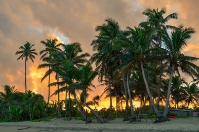 sunset in coral coast in viti levu island, fiji