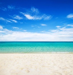 beautiful beach and tropical sea