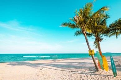 vintage surf board with palm tree on tropical beach in summer. vintage color tone