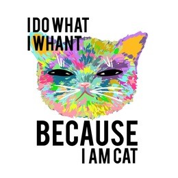 rainbow cat with slogan. because i am cat. for print, baby clothes, t shirt, child or wrapping paper. kids apparel
