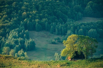 rural summer landscape with a wooden cottage