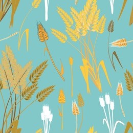 wheat grains seamless pattern. vector illustration on turquoise background