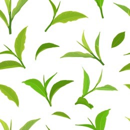 seamless pattern with branch of green tea leaves on white background template. vector set of element for advertising, packaging design of tea products.
