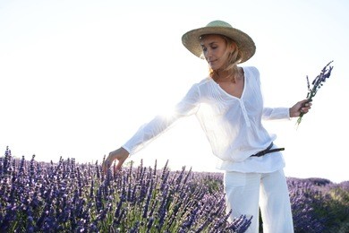 woman picking lavender 