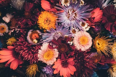 bouquet of multicolored flowers on a dark background. colorful bouquet of different fresh flowers. rustic flower background. retro style. vintage photo. close-up