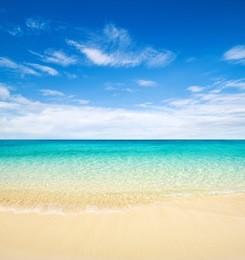 beautiful beach and tropical sea
