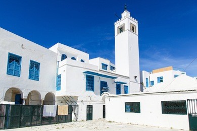 traditional houses in sidi bou said, tunisia, city tower