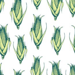 vector seamless background with corn. hand drawn illustration with healthy vegetables for print, wrapping, paper, fabric and other seamless design in sketch style. ink drawn engraving.