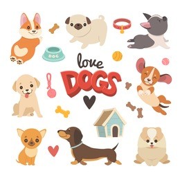 puppies collection. vector illustration of cute cartoon different breeds dogs, such as corgi, french bulldog, pug, beagle, labrador, chihuahua and dachshund. isolated on white.