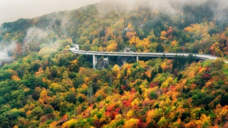 autumn on the blue ridge parkway at the linn cove viaduct with fog	