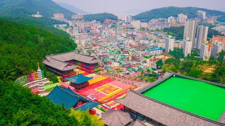 aerial view of samgwangsa temple in busan city of south korea. thousands of paper lanterns decorate samgwangsa temple in busan, south korea for buddha's birthday.
