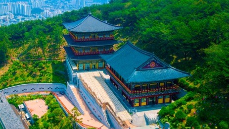 aerial view of samgwangsa temple in busan city of south korea. thousands of paper lanterns decorate samgwangsa temple in busan city of south korea for buddha's birthday.