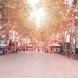 la rambla street. the most popular street in barcelona early in the morning. almost empty. spain