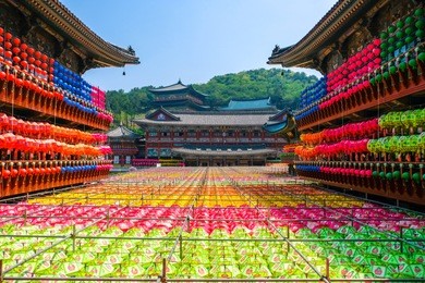 view of samgwangsa temple in busan city of south korea. thousands of paper lanterns decorate samgwangsa temple in busan, south korea for buddha's birthday.