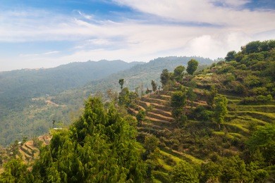 valley of rice field under nagarkot village, nepal
