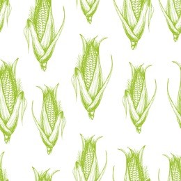 vector seamless corn pattern. hand drawn illustration with healthy vegetables for print, wrapping, paper, fabric and other seamless design in sketch style. ink drawn engraving.