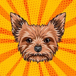 yorkshire terrier dog portrait. cute dog. yorkshire terrier breed. vector illustration isolated on colorful background.