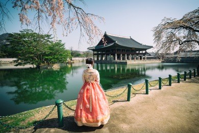young asian woman traveler in korean national dress or hanbok traveling into the gyeongbokgung palace with cherry blossom or call sakura in spring with blue sky and clouds at seoul city, south korea.