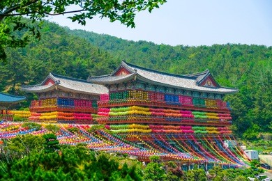 view of samgwangsa temple in busan city of south korea. thousands of paper lanterns decorate samgwangsa temple in busan, south korea for buddha's birthday.