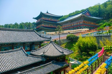 view of samgwangsa temple in busan city of south korea. thousands of paper lanterns decorate samgwangsa temple in busan, south korea for buddha's birthday.