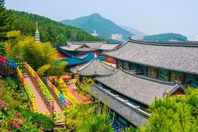 view of samgwangsa temple in busan city of south korea. thousands of paper lanterns decorate samgwangsa temple in busan, south korea for buddha's birthday.