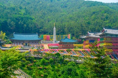 view of samgwangsa temple in busan city of south korea. thousands of paper lanterns decorate samgwangsa temple in busan, south korea for buddha's birthday.