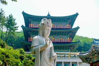 view of samgwangsa temple in busan city of south korea. thousands of paper lanterns decorate samgwangsa temple in busan, south korea for buddha's birthday.