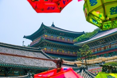 view of samgwangsa temple in busan city of south korea. thousands of paper lanterns decorate samgwangsa temple in busan, south korea for buddha's birthday.