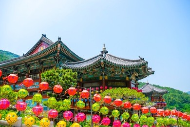view of samgwangsa temple in busan city of south korea. thousands of paper lanterns decorate samgwangsa temple in busan, south korea for buddha's birthday.