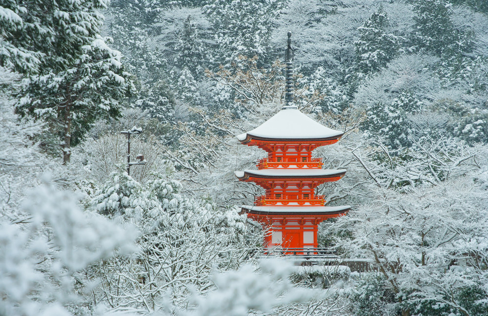 beautiful landscape in winter seasonal : red japanese pagoda covered with white snow in kiyomizu-dera temple, kyoto, japan.