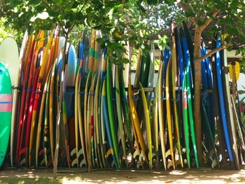 big set of different surfing boards on stand, surfboard renting place or surfschool