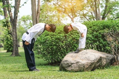 posting of taekwondo salute together action of professional and kid trainee while training in a park