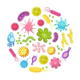 microorganism, bacteria, virus cell, bacillus, disease bacterium and fungi cells. human health science, epidemic colorful probiotic micro organism, germ, diseases and viruses cartoon vector flat icons
