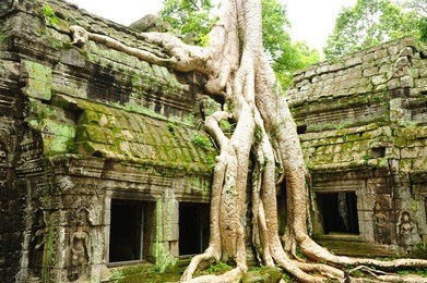 ruin of ta prohm temple, cambodia