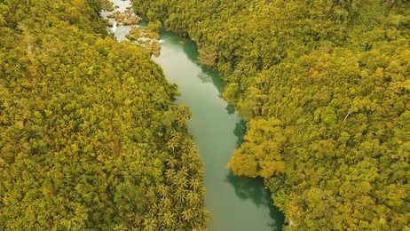 aerial view, river in the rainforest among the jungle tropical loboc river in the rain forest in asia. mountain river flows through green forest. philippines, bohol.