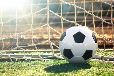 football on a green field. the ball in the goal.