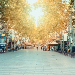 la rambla street. the most popular street in barcelona early in the morning. almost empty. spain