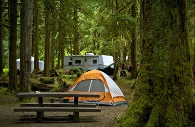 the campground - small orange tent and travel trailer in the background. deep forest campground. outdoor lifestyle photo collection.