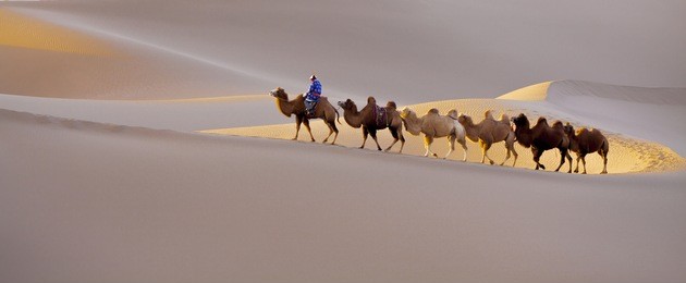 caravan in xinjiang desert