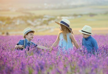 three happy children in lavender field