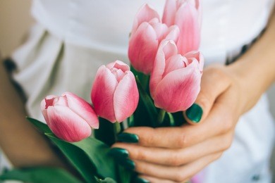 close-up woman takes flowers as a gift. female's hand with a green manicure holding a bouquet of pink tulips.