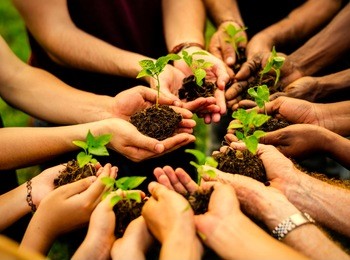 group of volunteers planting new trees