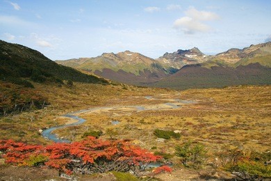 beautiful autumn landscape in a national park near ushuaia in tierra del fuego, argentina
