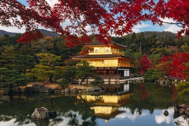 kinkaku-ji temple with red leaf in autumn season. buddhist temple in kyoto, japan. for other topics translated as "temple of the golden pavilion" or "golden pavilion temple" in english.