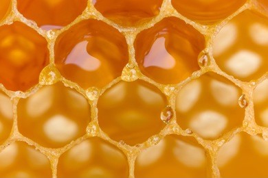 extreme macro shot of a honey filled honeycomb