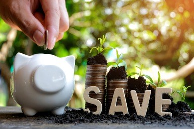 wooden letter blocks writing word save and piggy bank, money growth in soil . while seedlings are growing on pile of coins - concept finance investment.