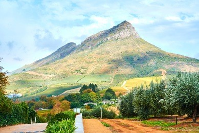 stellenbosch is a town in the western cape province of south africa, situated about 50 kilometres (31 miles) east of cape town, along the banks of the eerste river at the foot of the stellenbosch